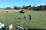 resIMG_20141127_160702_3776.JPG
